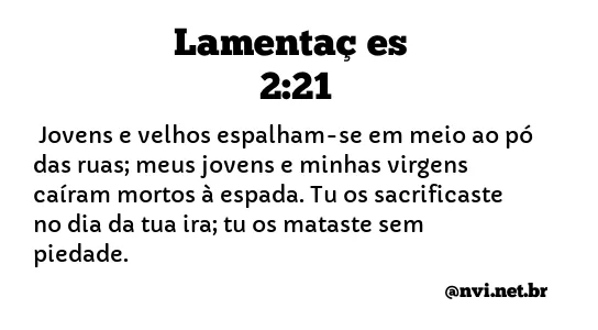 LAMENTAÇÕES 2:21 NVI NOVA VERSÃO INTERNACIONAL