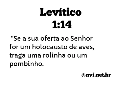 LEVÍTICO 1:14 NVI NOVA VERSÃO INTERNACIONAL