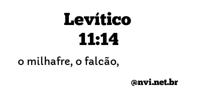 LEVÍTICO 11:14 NVI NOVA VERSÃO INTERNACIONAL