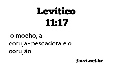 LEVÍTICO 11:17 NVI NOVA VERSÃO INTERNACIONAL