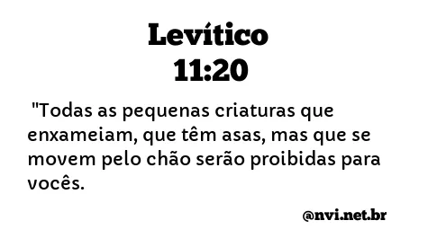 LEVÍTICO 11:20 NVI NOVA VERSÃO INTERNACIONAL