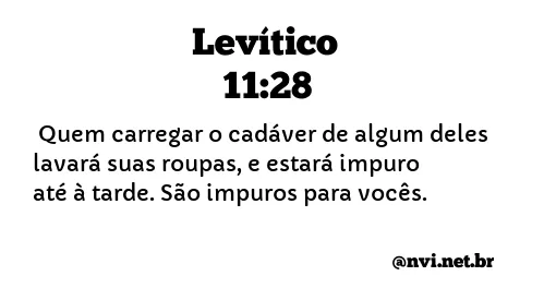 LEVÍTICO 11:28 NVI NOVA VERSÃO INTERNACIONAL