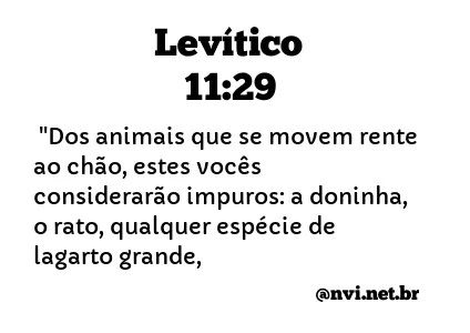 LEVÍTICO 11:29 NVI NOVA VERSÃO INTERNACIONAL