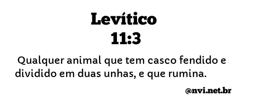 LEVÍTICO 11:3 NVI NOVA VERSÃO INTERNACIONAL