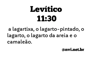 LEVÍTICO 11:30 NVI NOVA VERSÃO INTERNACIONAL