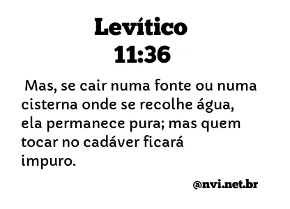 LEVÍTICO 11:36 NVI NOVA VERSÃO INTERNACIONAL