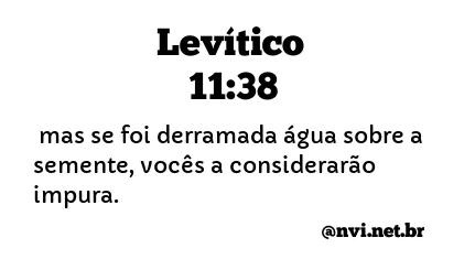 LEVÍTICO 11:38 NVI NOVA VERSÃO INTERNACIONAL