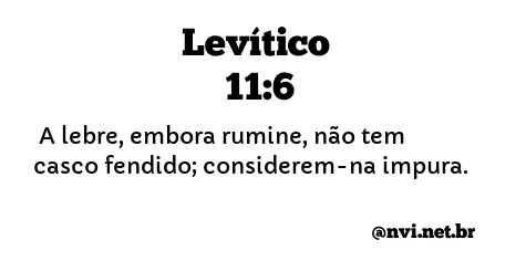 LEVÍTICO 11:6 NVI NOVA VERSÃO INTERNACIONAL