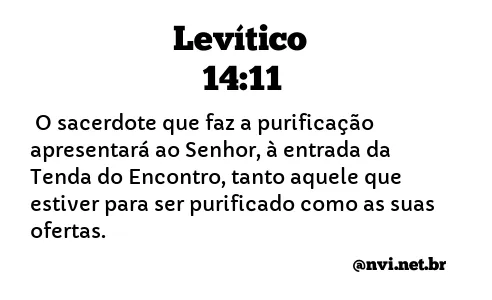 LEVÍTICO 14:11 NVI NOVA VERSÃO INTERNACIONAL