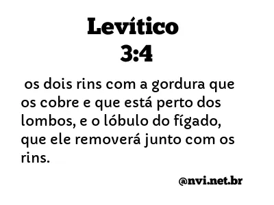 LEVÍTICO 3:4 NVI NOVA VERSÃO INTERNACIONAL