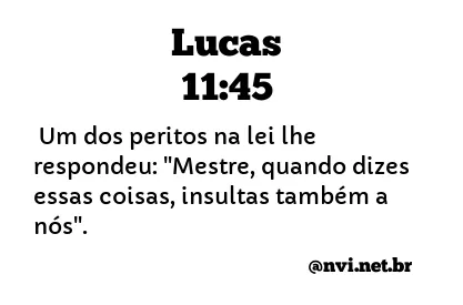 LUCAS 11:45 NVI NOVA VERSÃO INTERNACIONAL