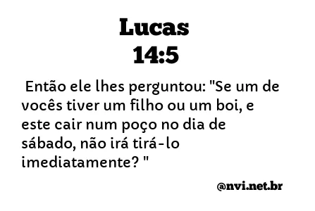 LUCAS 14:5 NVI NOVA VERSÃO INTERNACIONAL