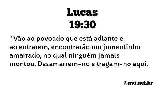 LUCAS 19:30 NVI NOVA VERSÃO INTERNACIONAL