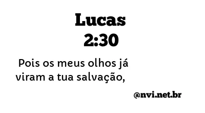 LUCAS 2:30 NVI NOVA VERSÃO INTERNACIONAL