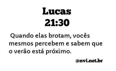 LUCAS 21:30 NVI NOVA VERSÃO INTERNACIONAL