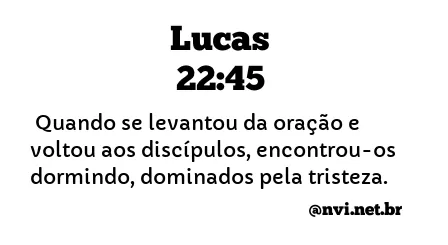 LUCAS 22:45 NVI NOVA VERSÃO INTERNACIONAL
