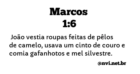 MARCOS 1:6 NVI NOVA VERSÃO INTERNACIONAL