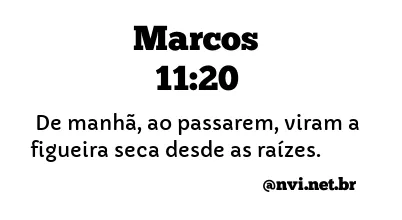 MARCOS 11:20 NVI NOVA VERSÃO INTERNACIONAL