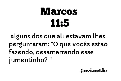 MARCOS 11:5 NVI NOVA VERSÃO INTERNACIONAL