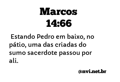 MARCOS 14:66 NVI NOVA VERSÃO INTERNACIONAL