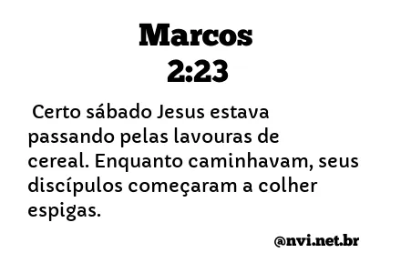 MARCOS 2:23 NVI NOVA VERSÃO INTERNACIONAL