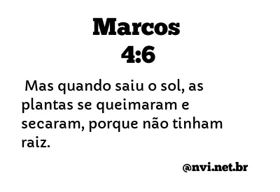 MARCOS 4:6 NVI NOVA VERSÃO INTERNACIONAL