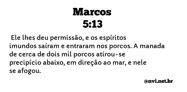 MARCOS 5:13 NVI NOVA VERSÃO INTERNACIONAL