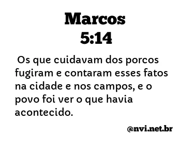 MARCOS 5:14 NVI NOVA VERSÃO INTERNACIONAL