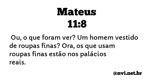 MATEUS 11:8 NVI NOVA VERSÃO INTERNACIONAL