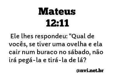 MATEUS 12:11 NVI NOVA VERSÃO INTERNACIONAL