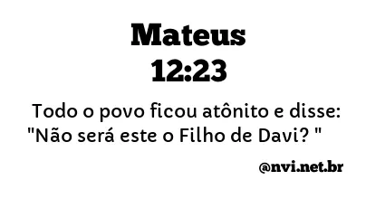 MATEUS 12:23 NVI NOVA VERSÃO INTERNACIONAL