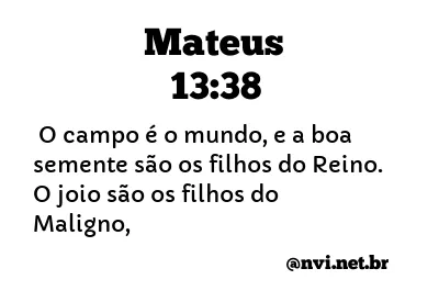 MATEUS 13:38 NVI NOVA VERSÃO INTERNACIONAL