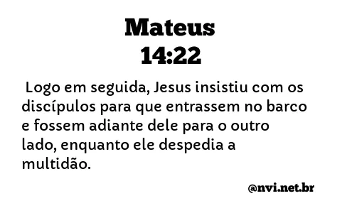 MATEUS 14:22 NVI NOVA VERSÃO INTERNACIONAL