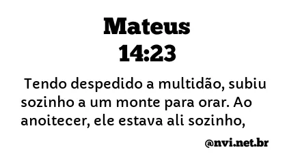 MATEUS 14:23 NVI NOVA VERSÃO INTERNACIONAL