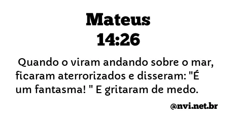 MATEUS 14:26 NVI NOVA VERSÃO INTERNACIONAL