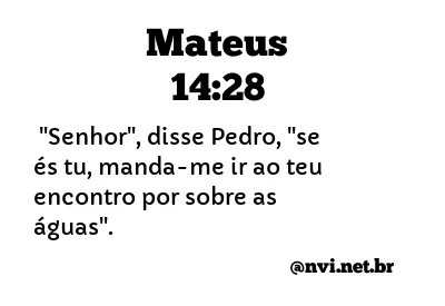 MATEUS 14:28 NVI NOVA VERSÃO INTERNACIONAL