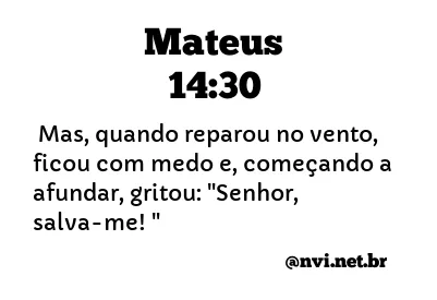 MATEUS 14:30 NVI NOVA VERSÃO INTERNACIONAL