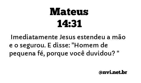 MATEUS 14:31 NVI NOVA VERSÃO INTERNACIONAL