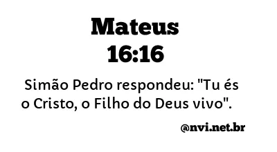 MATEUS 16:16 NVI NOVA VERSÃO INTERNACIONAL