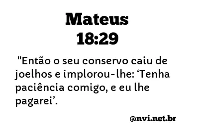 MATEUS 18:29 NVI NOVA VERSÃO INTERNACIONAL