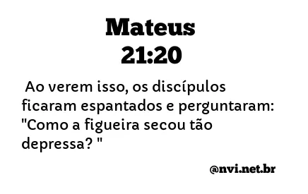 MATEUS 21:20 NVI NOVA VERSÃO INTERNACIONAL