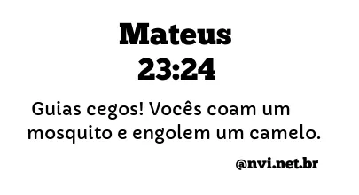 MATEUS 23:24 NVI NOVA VERSÃO INTERNACIONAL