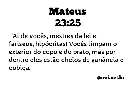 MATEUS 23:25 NVI NOVA VERSÃO INTERNACIONAL