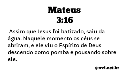 MATEUS 3:16 NVI NOVA VERSÃO INTERNACIONAL