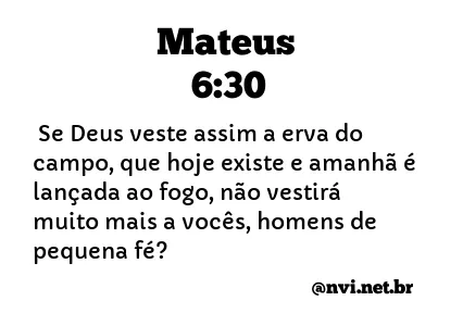 MATEUS 6:30 NVI NOVA VERSÃO INTERNACIONAL