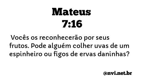 MATEUS 7:16 NVI NOVA VERSÃO INTERNACIONAL