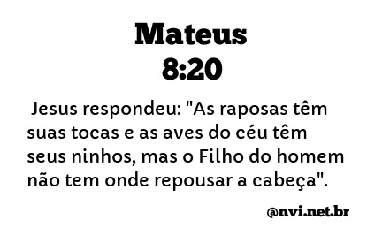 MATEUS 8:20 NVI NOVA VERSÃO INTERNACIONAL