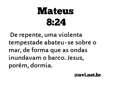 MATEUS 8:24 NVI NOVA VERSÃO INTERNACIONAL