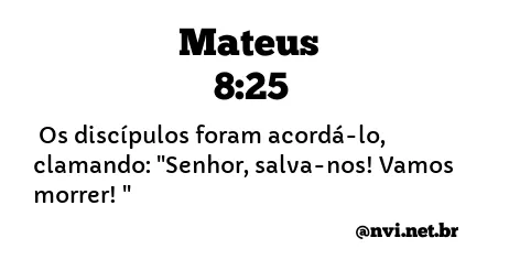 MATEUS 8:25 NVI NOVA VERSÃO INTERNACIONAL