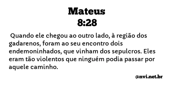 MATEUS 8:28 NVI NOVA VERSÃO INTERNACIONAL